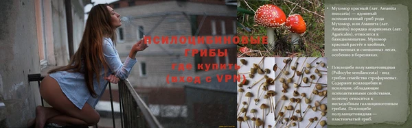 jwh Аркадак