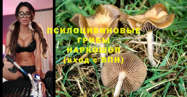кокаин перу Арсеньев