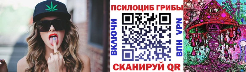 сколько стоит  Пошехонье  Псилоцибиновые грибы Magic Shrooms 